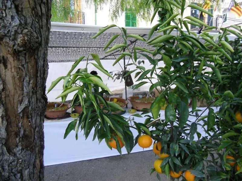 Finca Son Olive 셀바 스페인